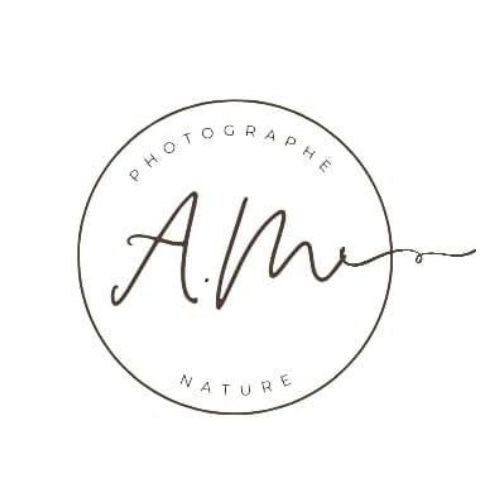 Logo Photographe Nature A.M